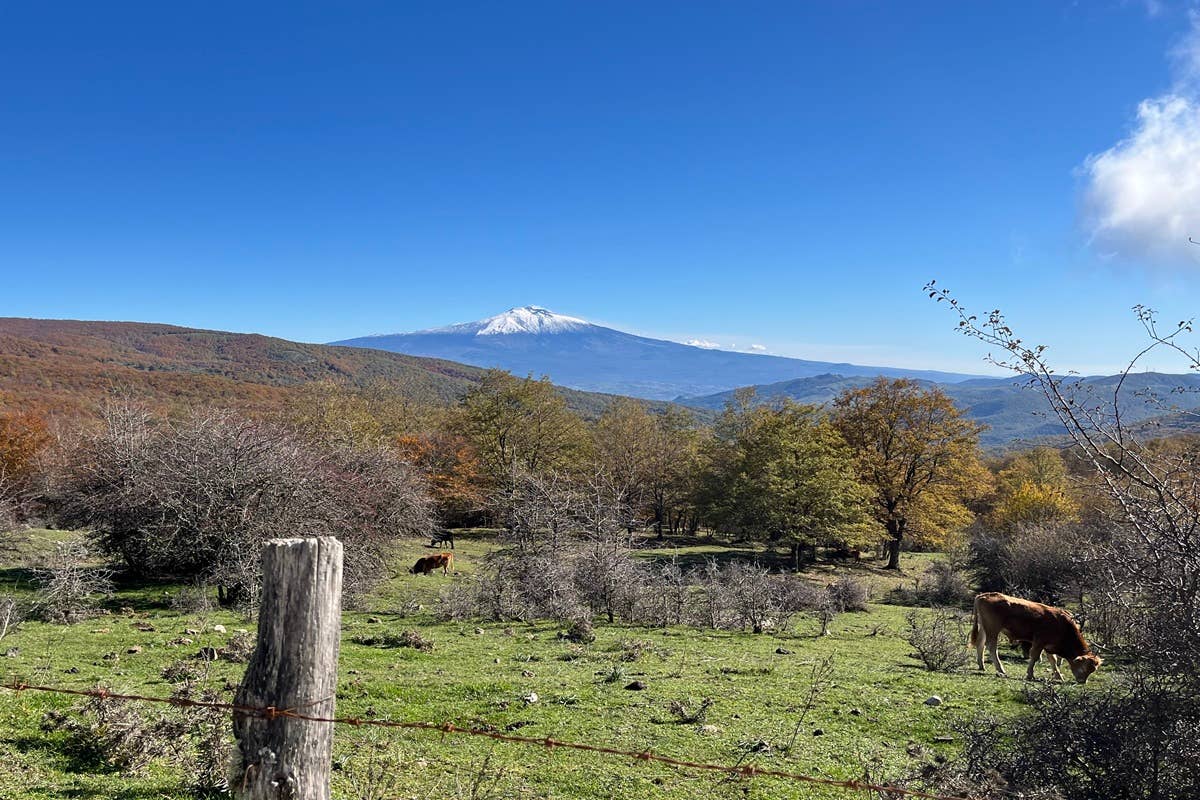 Nel Parco dei Nebrodi tra natura, tradizione e sapori della Sicilia